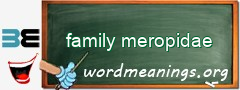 WordMeaning blackboard for family meropidae